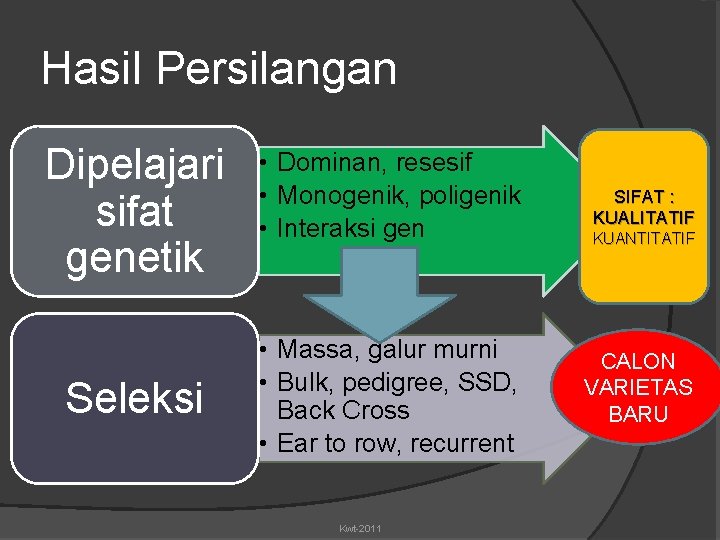 Hasil Persilangan Dipelajari sifat genetik Seleksi • Dominan, resesif • Monogenik, poligenik • Interaksi