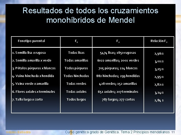 Resultados de todos los cruzamientos monohíbridos de Mendel Fenotipo parental F 1 F 2