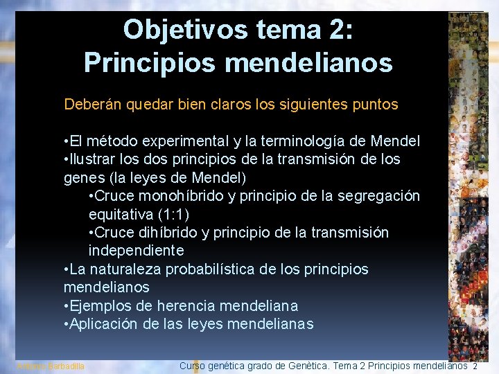 Objetivos tema 2: Principios mendelianos Deberán quedar bien claros los siguientes puntos • El