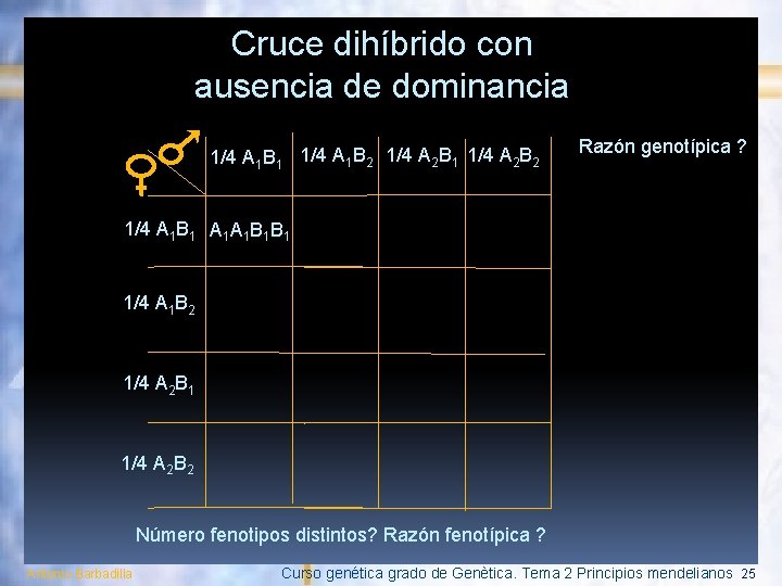 Cruce dihíbrido con ausencia de dominancia 1/4 A 1 B 1 1/4 A 1
