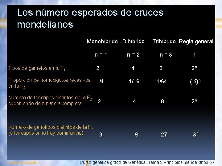 Los número esperados de cruces mendelianos Monohíbrido Dihíbrido Trihíbrido Regla general n = 1