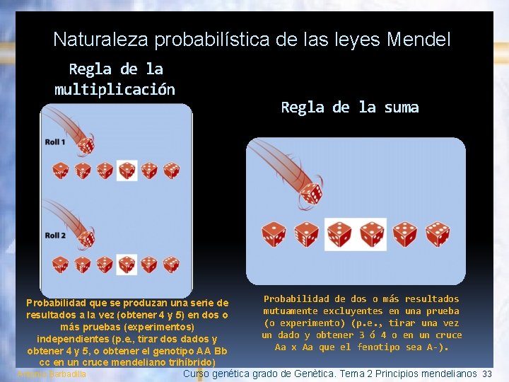 Naturaleza probabilística de las leyes Mendel Regla de la multiplicación Regla de la suma