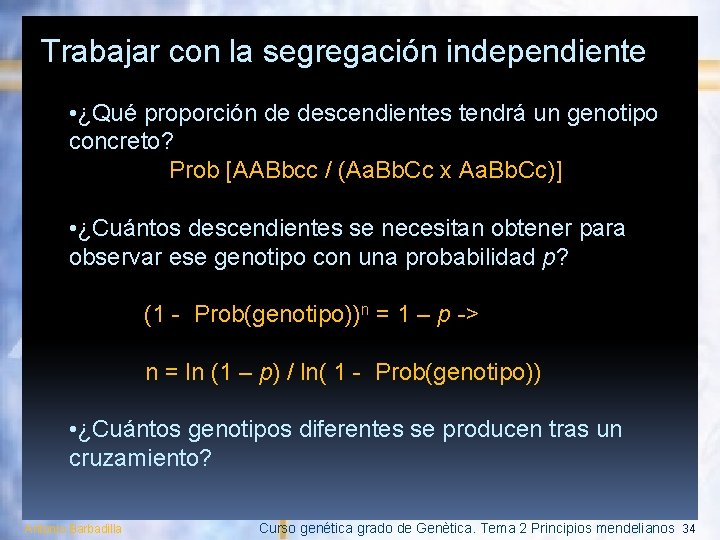 Trabajar con la segregación independiente • ¿Qué proporción de descendientes tendrá un genotipo concreto?