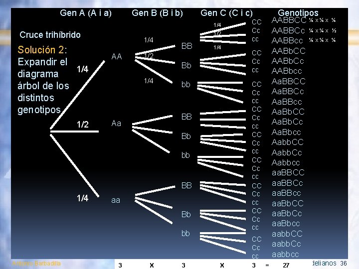 Gen A (A i a) Gen B (B i b) Gen C (C i