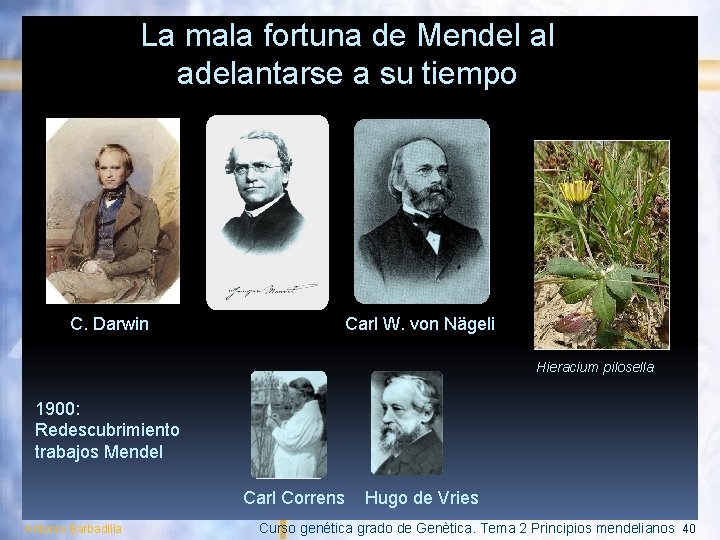 La mala fortuna de Mendel al adelantarse a su tiempo C. Darwin Carl W.