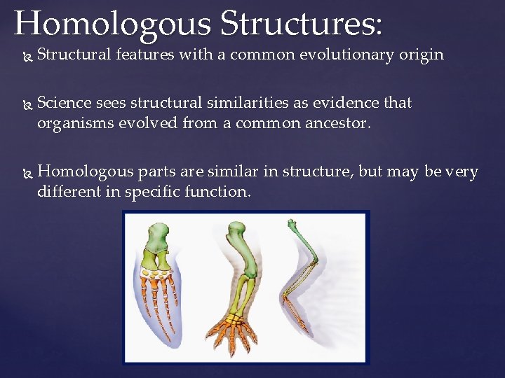 Homologous Structures: Structural features with a common evolutionary origin Science sees structural similarities as