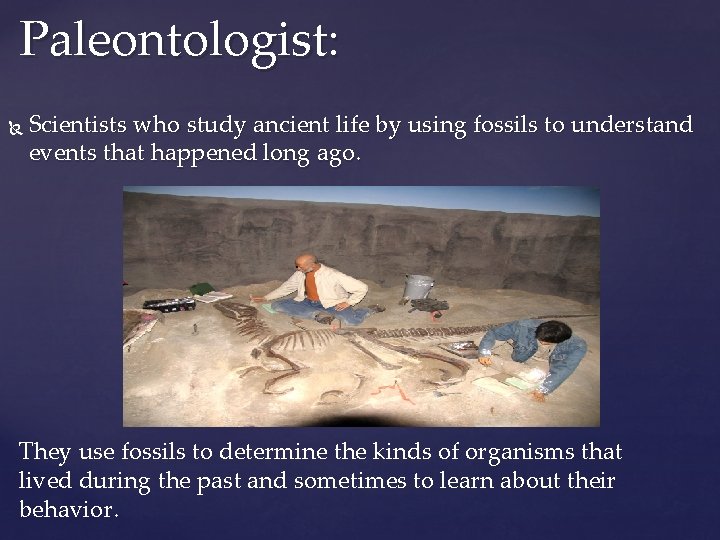Paleontologist: Scientists who study ancient life by using fossils to understand events that happened