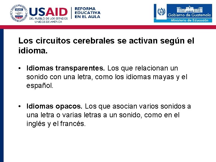 Los circuitos cerebrales se activan según el idioma. • Idiomas transparentes. Los que relacionan