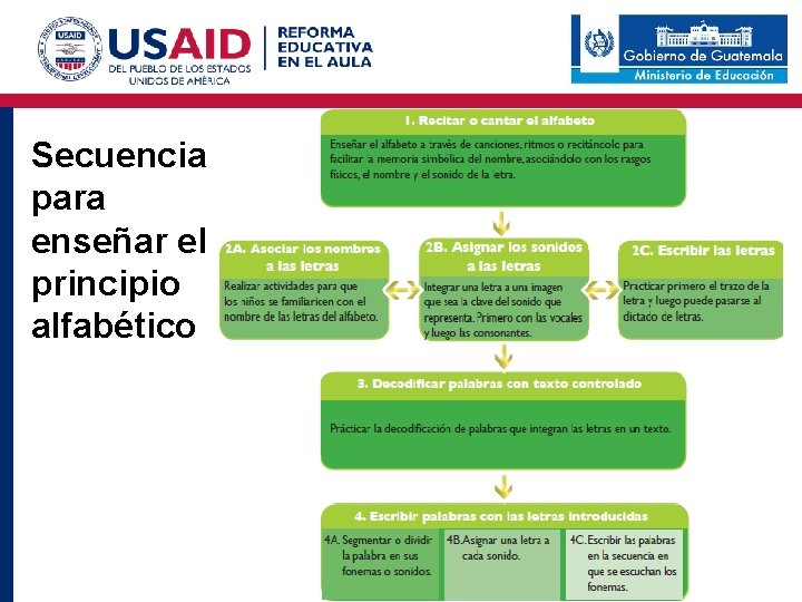 Secuencia para enseñar el principio alfabético 
