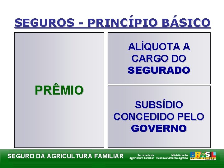 SEGUROS - PRINCÍPIO BÁSICO ALÍQUOTA A CARGO DO SEGURADO PRÊMIO SUBSÍDIO CONCEDIDO PELO GOVERNO