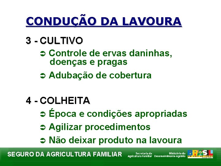 CONDUÇÃO DA LAVOURA 3 - CULTIVO Controle de ervas daninhas, doenças e pragas Ü