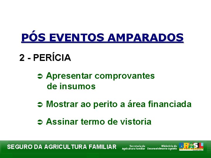 PÓS EVENTOS AMPARADOS 2 - PERÍCIA Ü Apresentar comprovantes de insumos Ü Mostrar ao