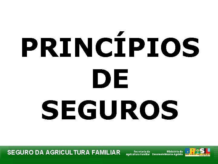 PRINCÍPIOS DE SEGUROS SEGURO DA AGRICULTURA FAMILIAR 