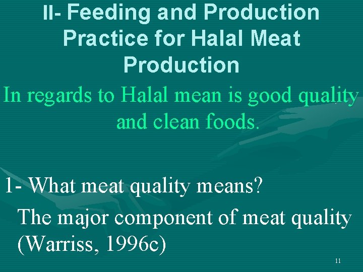 II- Feeding and Production Practice for Halal Meat Production In regards to Halal mean II- Feeding and Production Practice for Halal Meat Production In regards to Halal mean