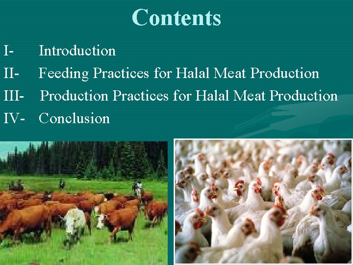 Contents IIIIIIIV- Introduction Feeding Practices for Halal Meat Production Conclusion 2 Contents IIIIIIIV- Introduction Feeding Practices for Halal Meat Production Conclusion 2