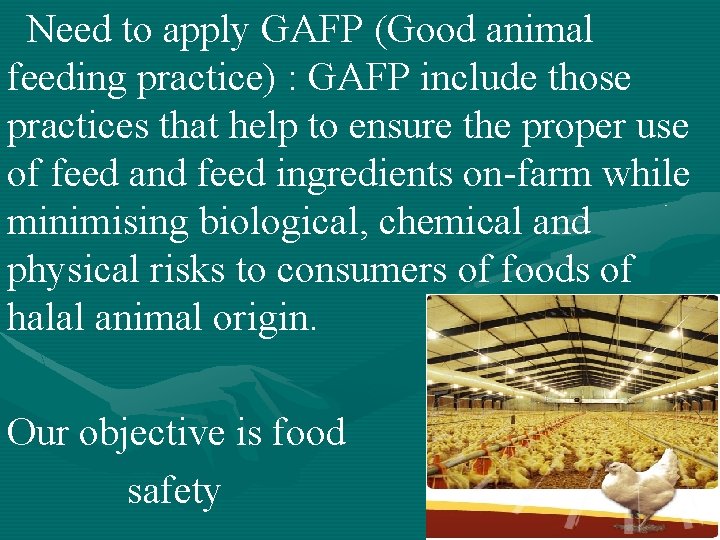 Need to apply GAFP (Good animal feeding practice) : GAFP include those practices that Need to apply GAFP (Good animal feeding practice) : GAFP include those practices that