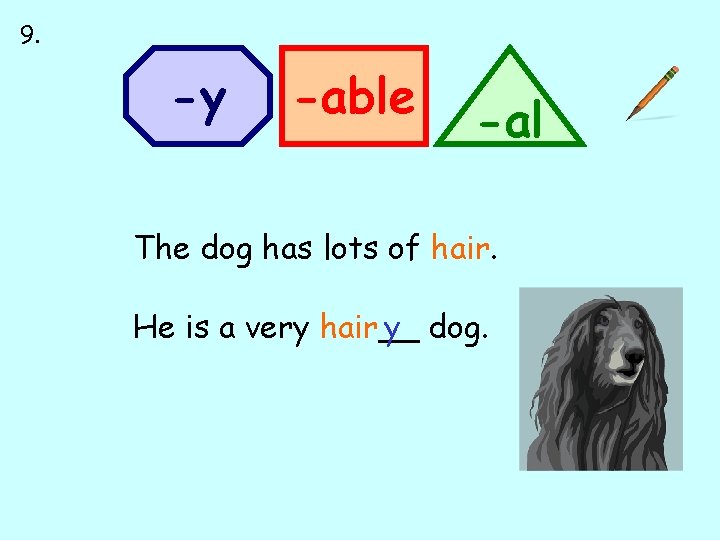 9. -y -able -al The dog has lots of hair. He is a very