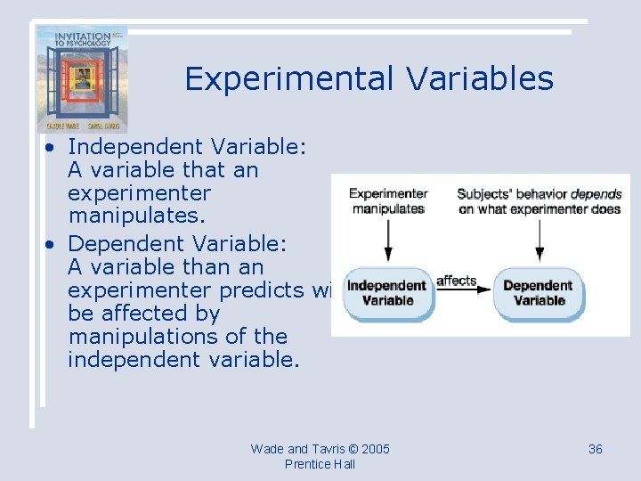 Experimental Variables • Independent Variable: A variable that an experimenter manipulates. • Dependent Variable: