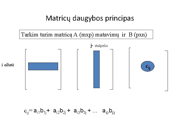 Matricų daugybos principas Tarkim turim matricą A (mxp) matavimų ir B (pxn) j- stulpelis