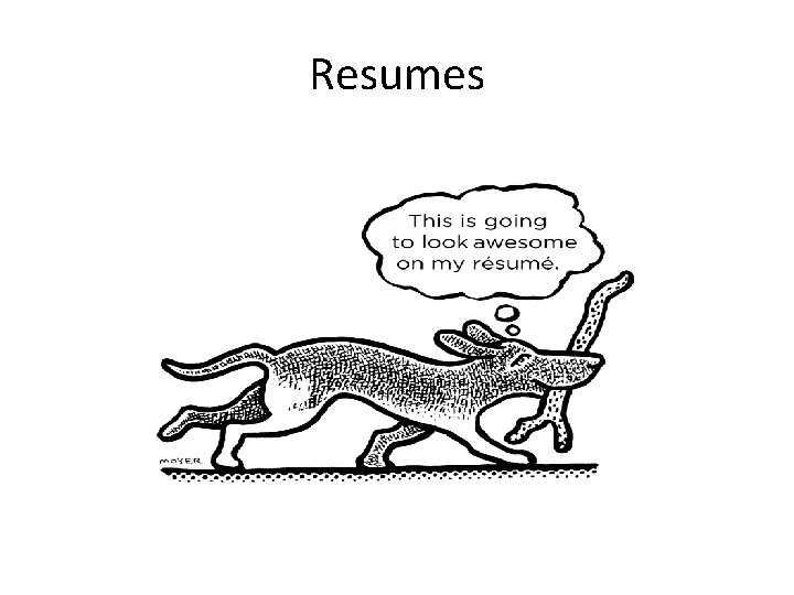 Resumes Resumes