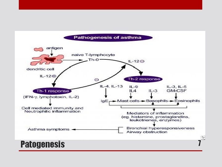 (Diambil dari Global Initiative for Asthma. Global Strategy for Asthma management and prevention. National