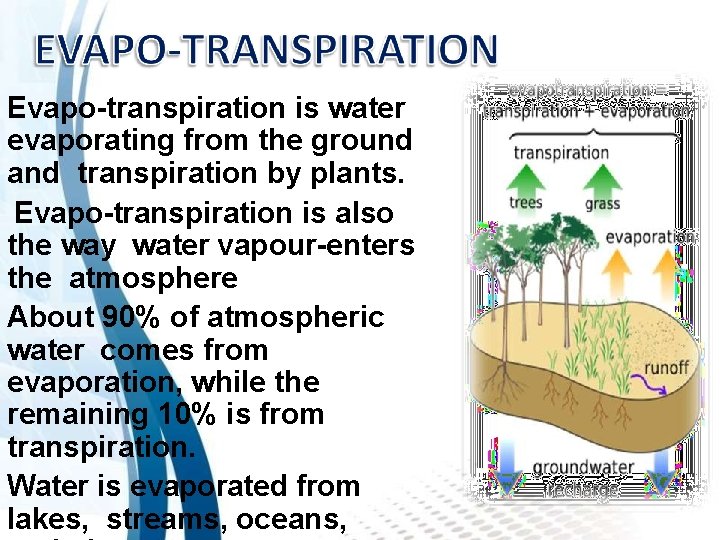 Evapo-transpiration is water evaporating from the ground and transpiration by plants. Evapo-transpiration is also
