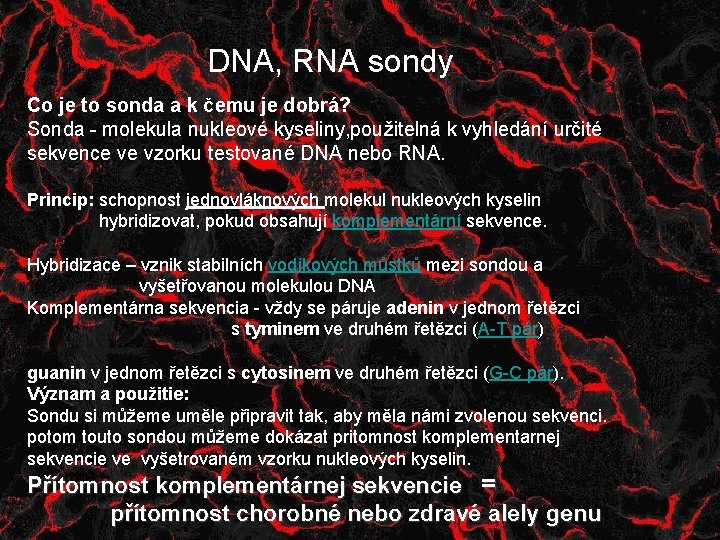  DNA, RNA sondy Co je to sonda a k čemu je dobrá? Sonda