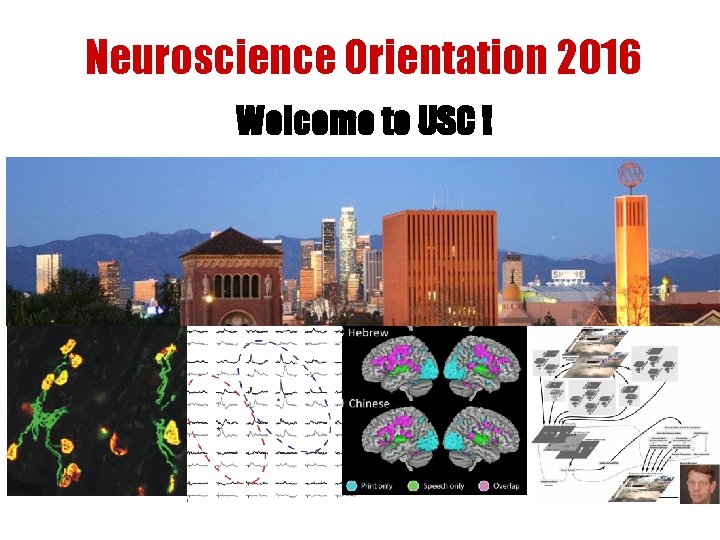 Neuroscience Orientation 2016 Welcome to USC ! 