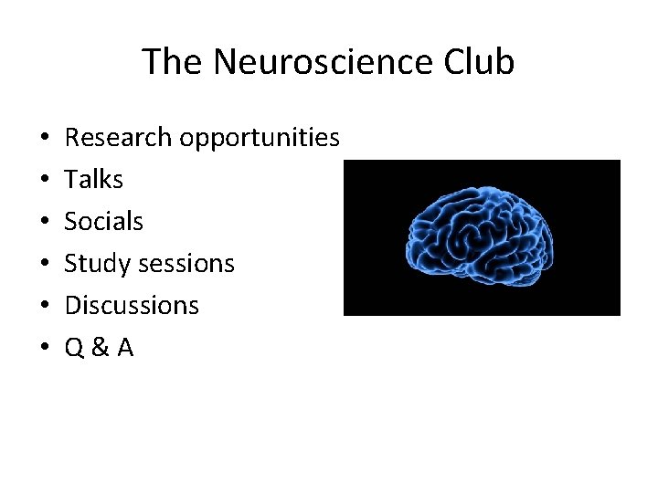 The Neuroscience Club • • • Research opportunities Talks Socials Study sessions Discussions Q&A