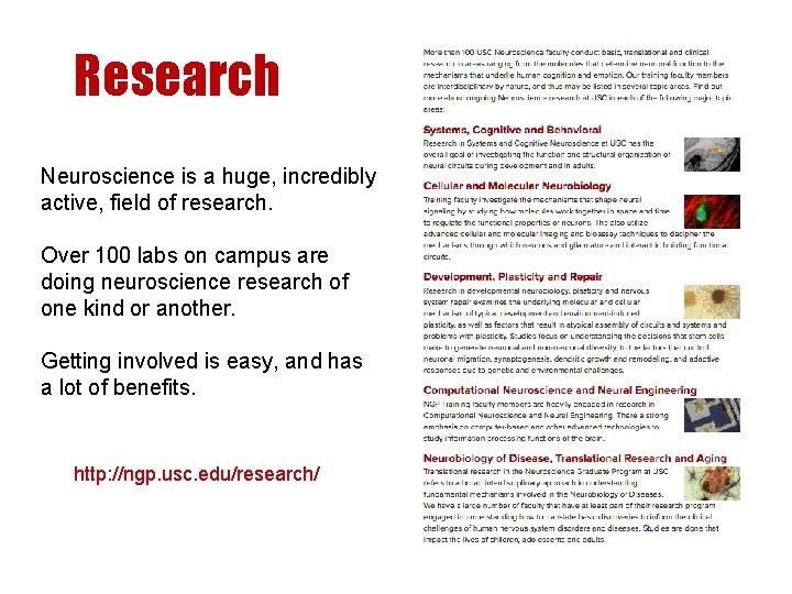 Research Neuroscience is a huge, incredibly active, field of research. Over 100 labs on