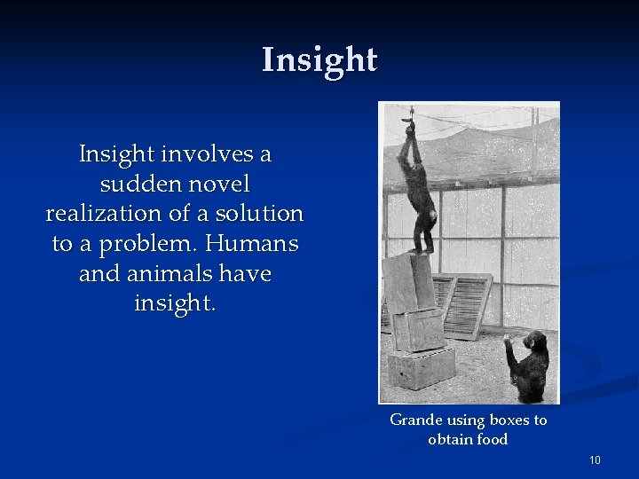 Insight involves a sudden novel realization of a solution to a problem. Humans and