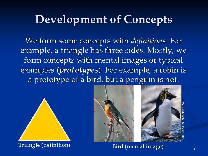 Development of Concepts We form some concepts with definitions. For example, a triangle has