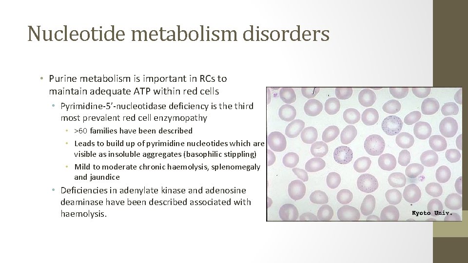 Nucleotide metabolism disorders • Purine metabolism is important in RCs to maintain adequate ATP