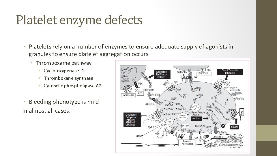Platelet enzyme defects • Platelets rely on a number of enzymes to ensure adequate