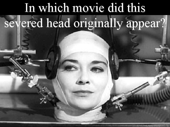 In which movie did this severed head originally appear? 