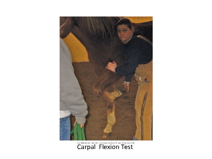 Carpal Flexion Test 