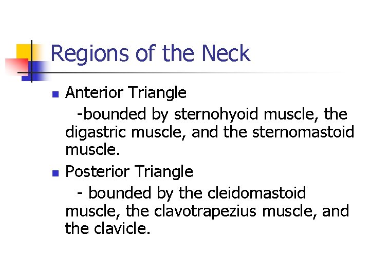 Regions of the Neck n n Anterior Triangle -bounded by sternohyoid muscle, the digastric Regions of the Neck n n Anterior Triangle -bounded by sternohyoid muscle, the digastric