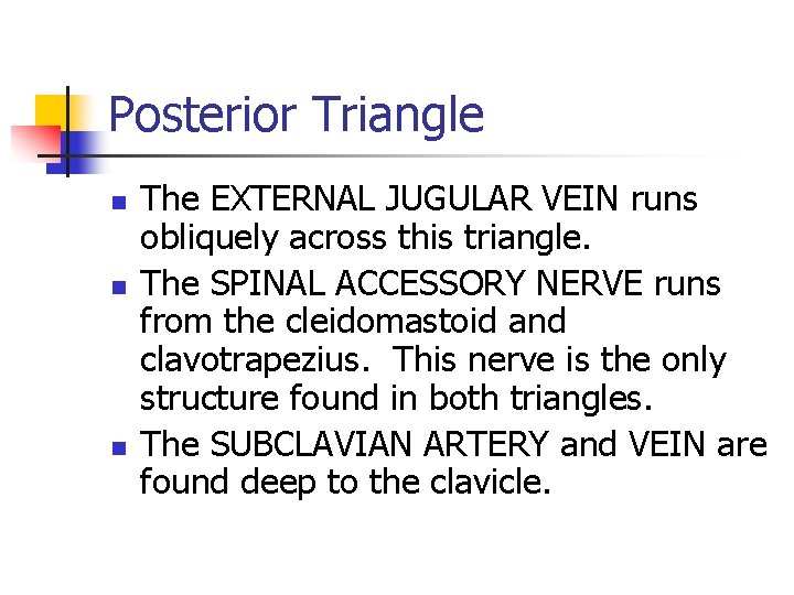 Posterior Triangle n n n The EXTERNAL JUGULAR VEIN runs obliquely across this triangle. Posterior Triangle n n n The EXTERNAL JUGULAR VEIN runs obliquely across this triangle.