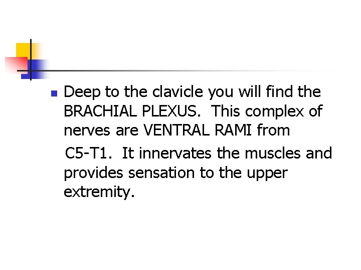 n Deep to the clavicle you will find the BRACHIAL PLEXUS. This complex of n Deep to the clavicle you will find the BRACHIAL PLEXUS. This complex of
