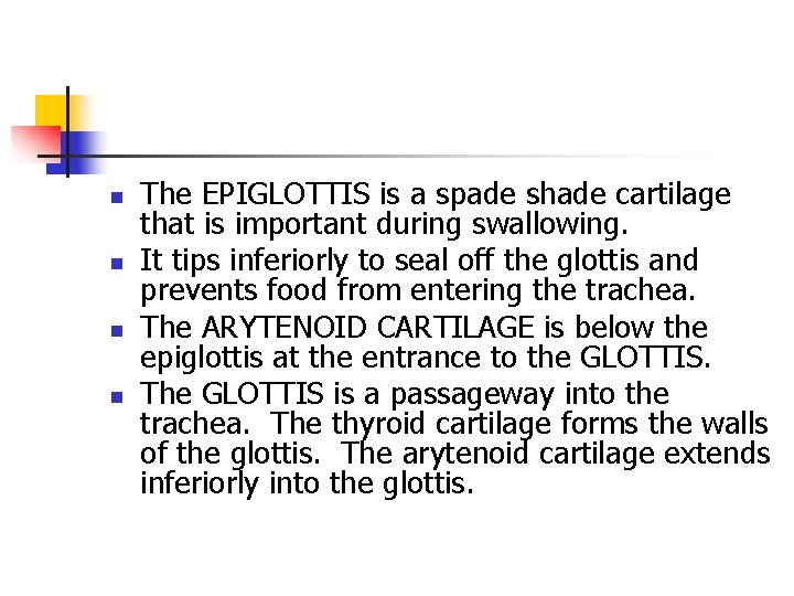 n n The EPIGLOTTIS is a spade shade cartilage that is important during swallowing. n n The EPIGLOTTIS is a spade shade cartilage that is important during swallowing.