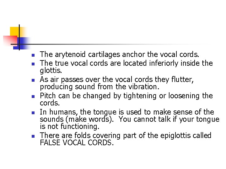 n n n The arytenoid cartilages anchor the vocal cords. The true vocal cords n n n The arytenoid cartilages anchor the vocal cords. The true vocal cords
