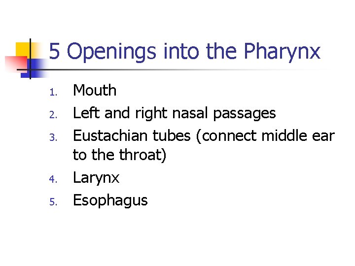 5 Openings into the Pharynx 1. 2. 3. 4. 5. Mouth Left and right 5 Openings into the Pharynx 1. 2. 3. 4. 5. Mouth Left and right