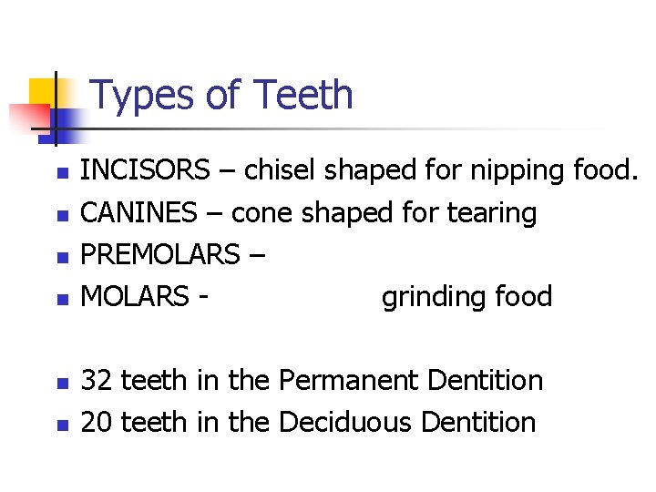 Types of Teeth n n n INCISORS – chisel shaped for nipping food. CANINES Types of Teeth n n n INCISORS – chisel shaped for nipping food. CANINES