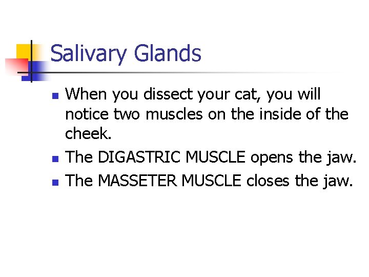 Salivary Glands n n n When you dissect your cat, you will notice two Salivary Glands n n n When you dissect your cat, you will notice two
