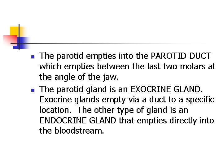 n n The parotid empties into the PAROTID DUCT which empties between the last n n The parotid empties into the PAROTID DUCT which empties between the last