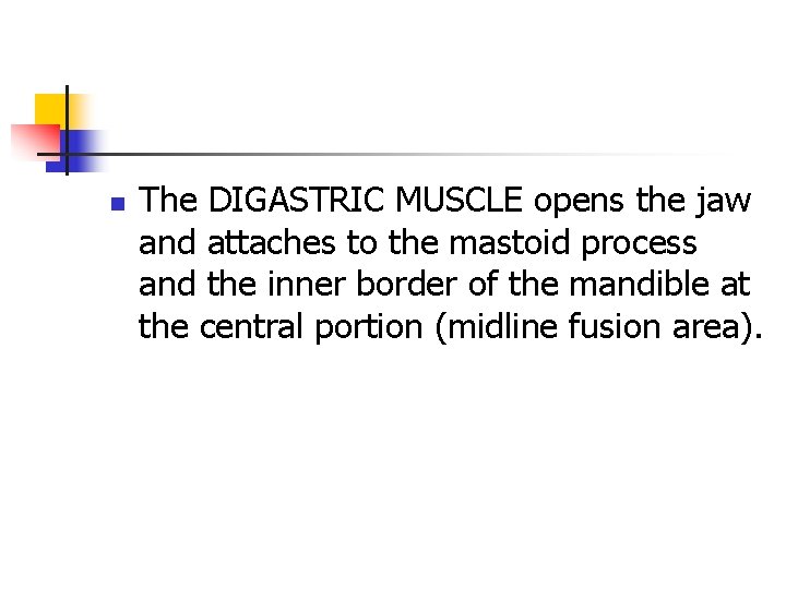 n The DIGASTRIC MUSCLE opens the jaw and attaches to the mastoid process and n The DIGASTRIC MUSCLE opens the jaw and attaches to the mastoid process and