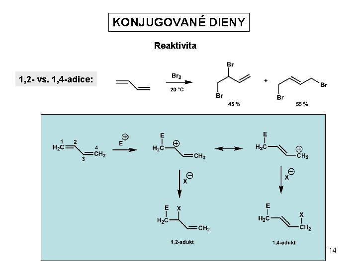 KONJUGOVANÉ DIENY Reaktivita 1, 2 - vs. 1, 4 -adice: 14 