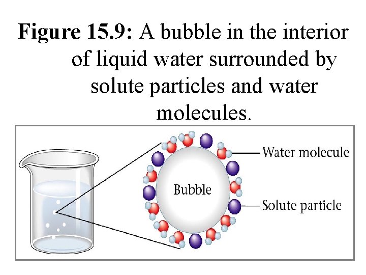 Figure 15. 9: A bubble in the interior of liquid water surrounded by solute