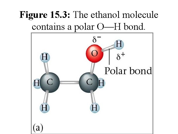 Figure 15. 3: The ethanol molecule contains a polar O—H bond. 