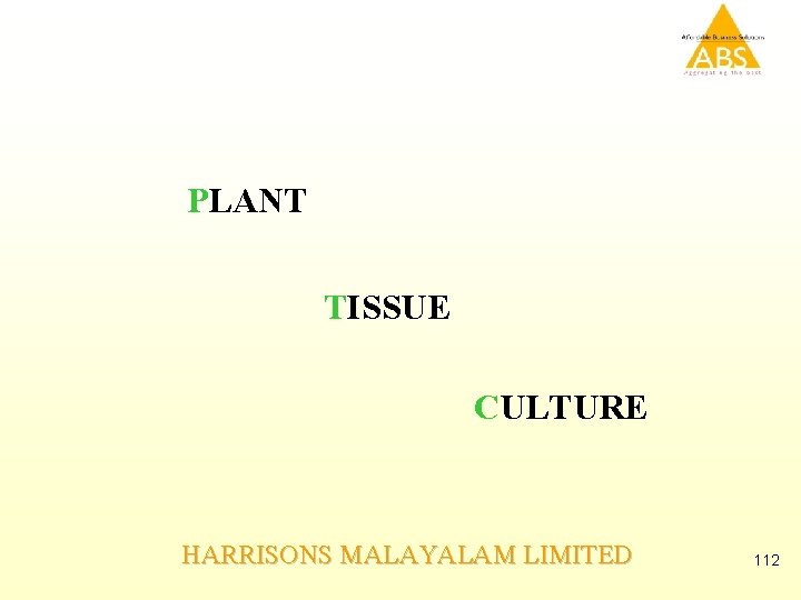 PLANT TISSUE CULTURE HARRISONS MALAYALAM LIMITED 112 